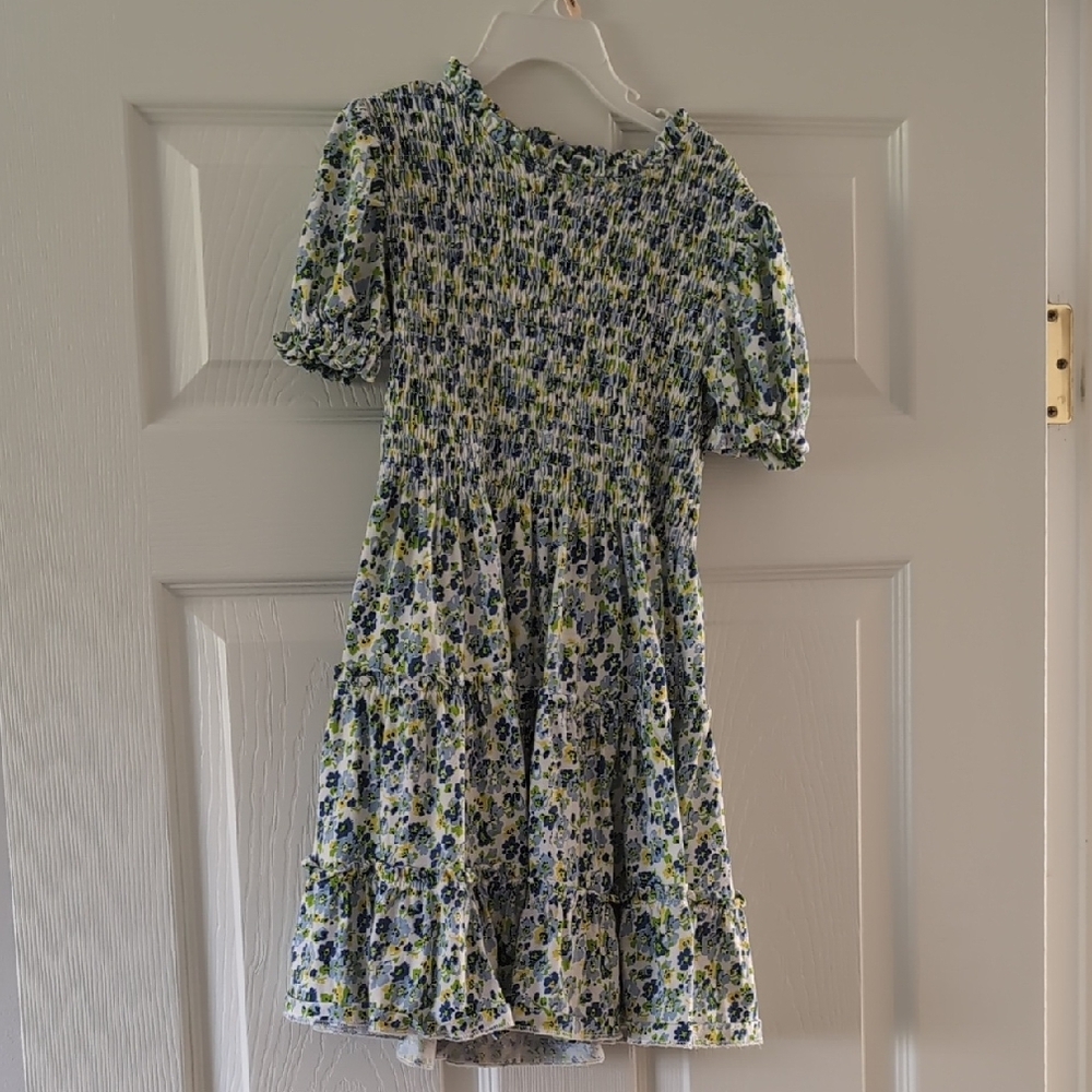 Polo by Ralph Lauren Green and White Smocked Sundress
